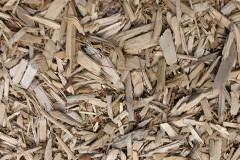 biomass boilers Batson